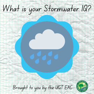 What is your Stormwater IQ?