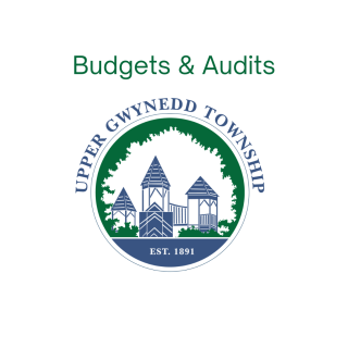 budget/audits-twp seal